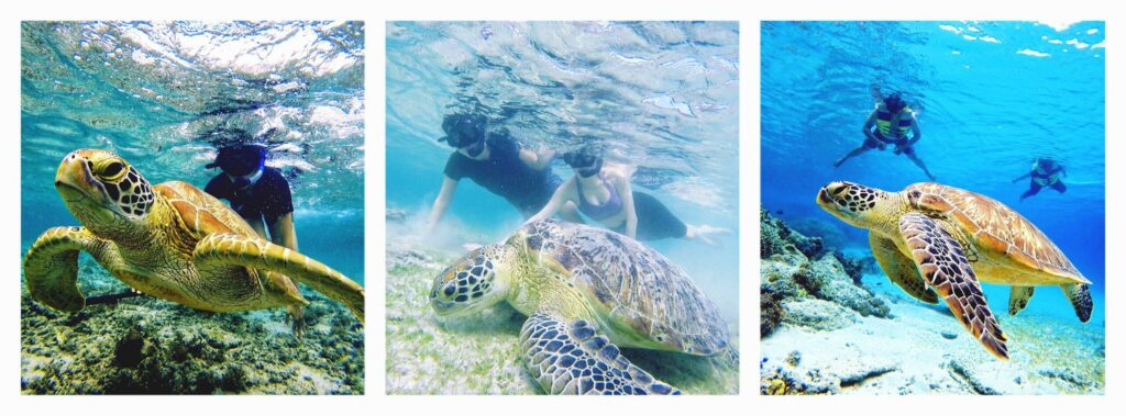 snorkeling gili trawangan